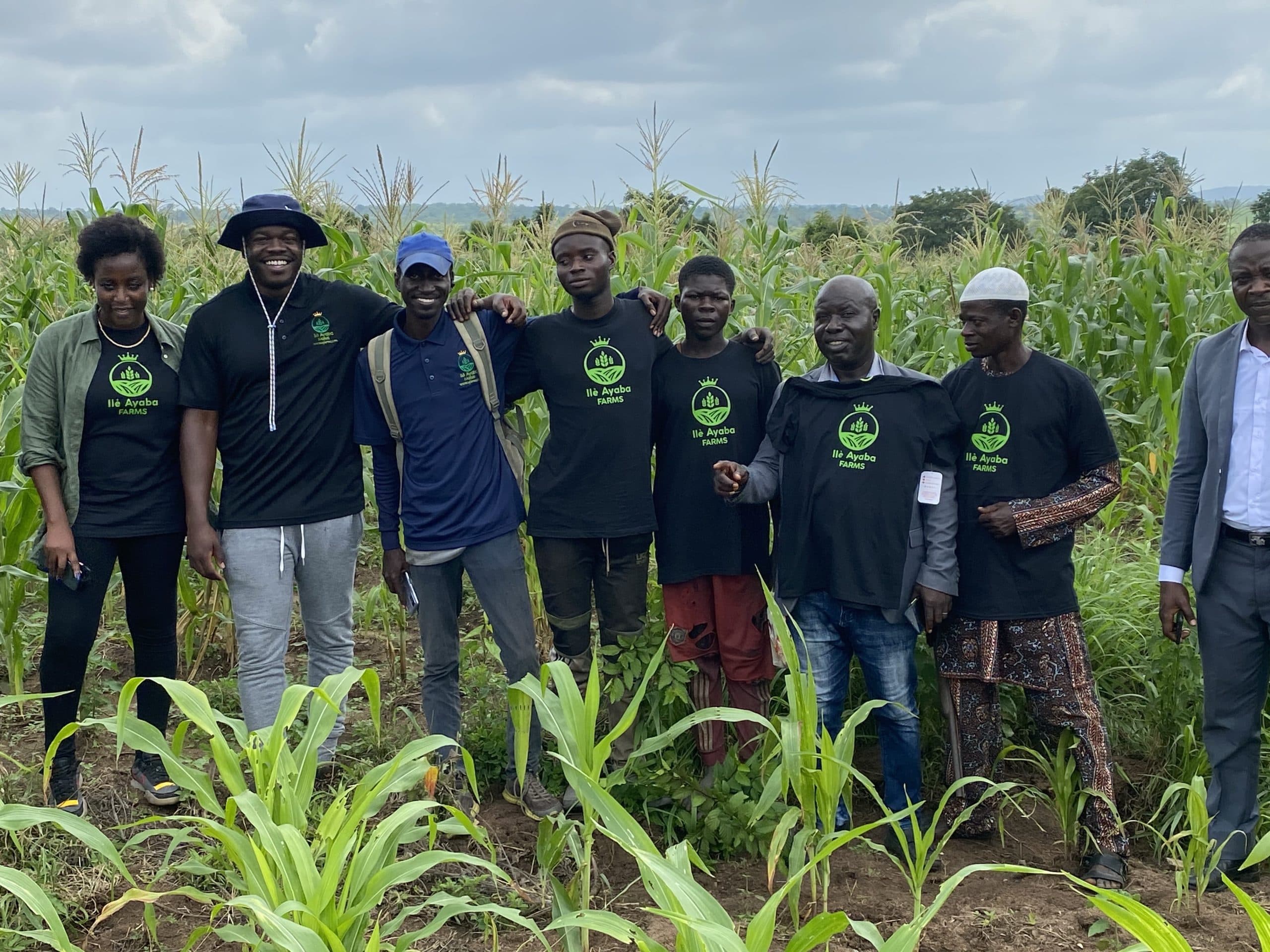 The $6.8M credit engine hidden inside a Nigerian cassava patch