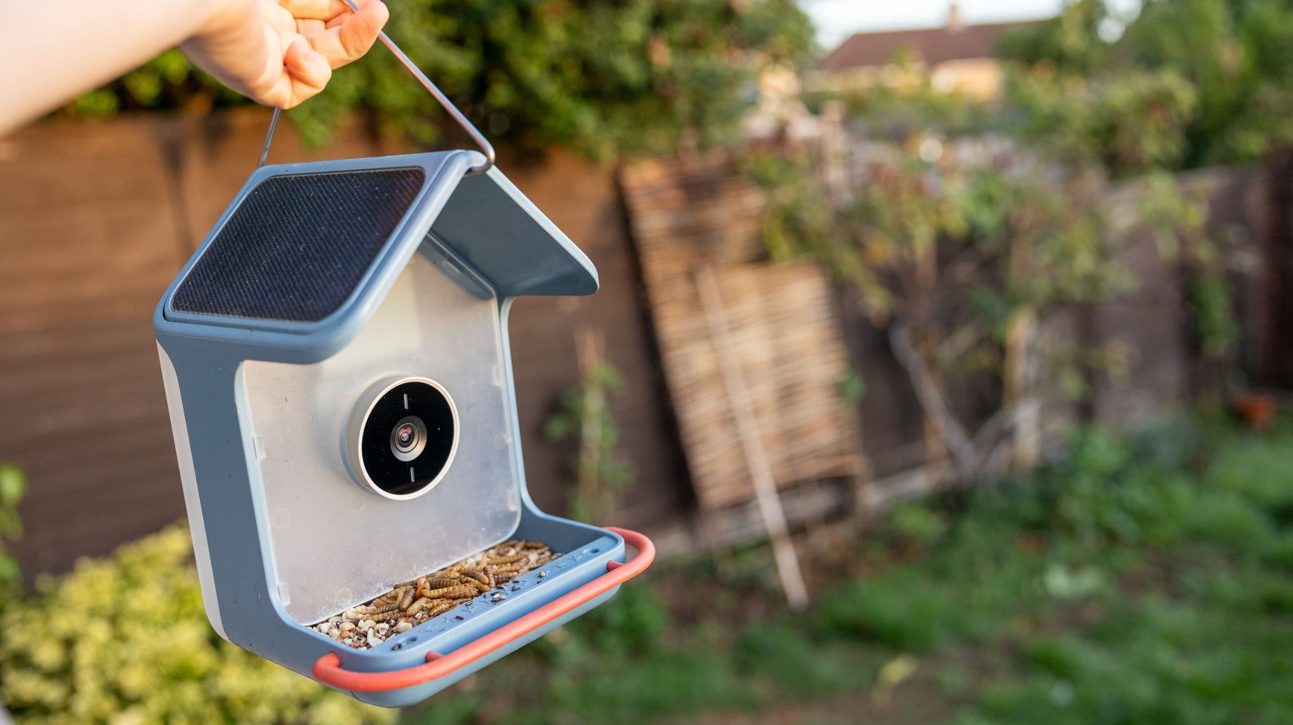 I've tested dozens of bird feeder cameras, and the Bird Buddy 2 is one of the most polished yet — its 2K video and endearing app are a joy