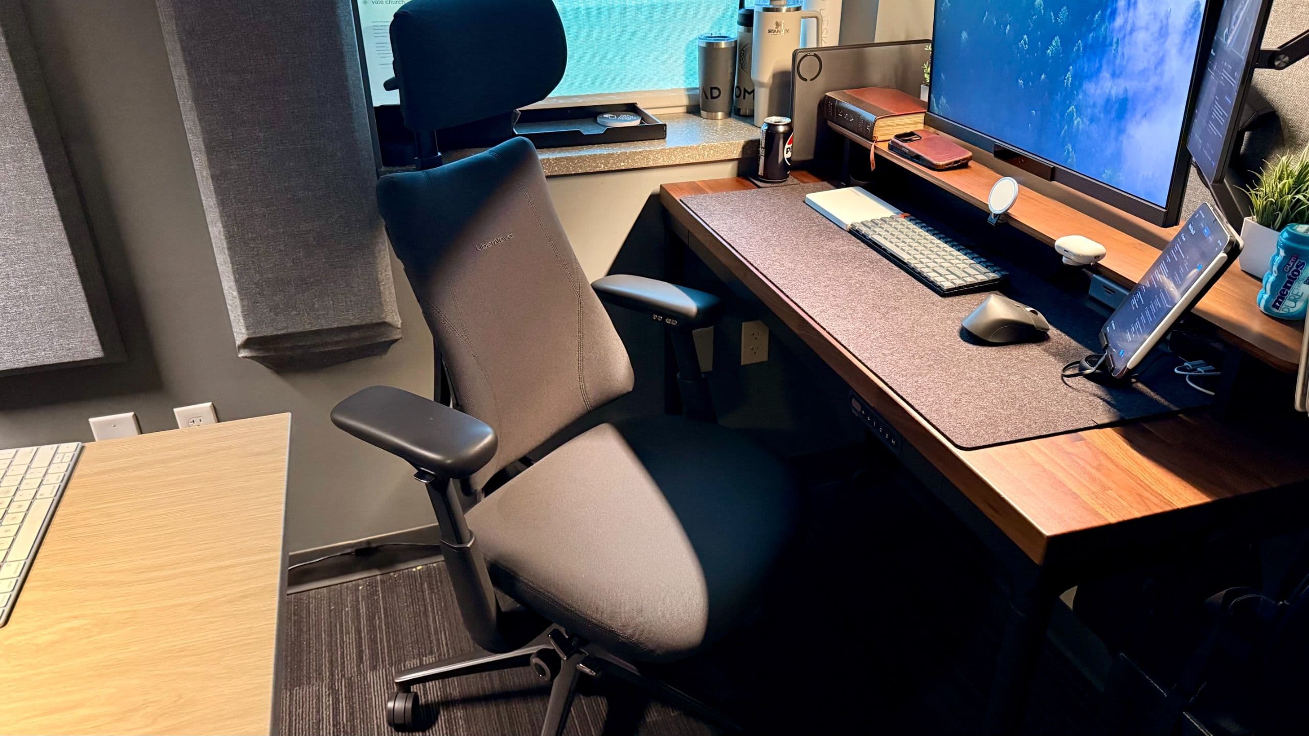 The LiberNovo Omni Pro delivers peak office chair performance
