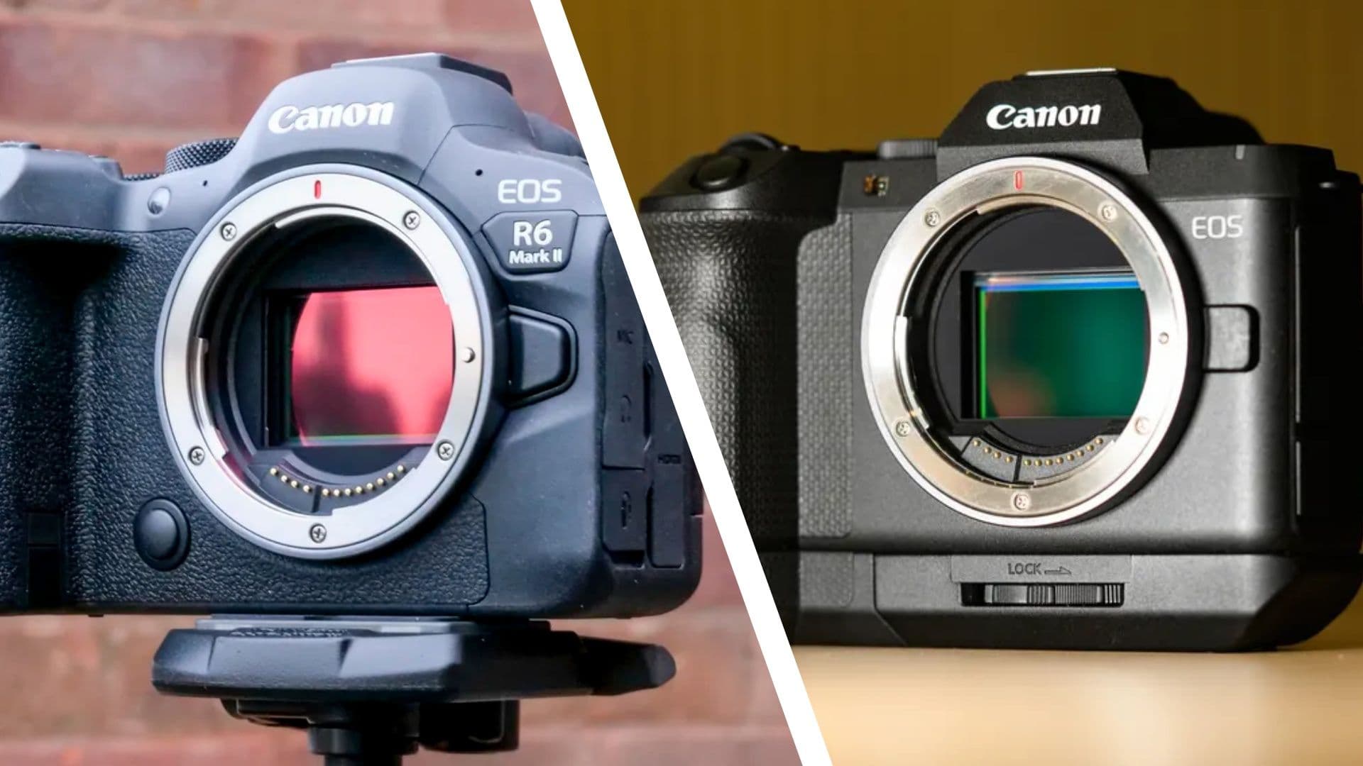 Canon EOS R6 II v EOS R8 II: here's why Canon's older full-frame camera is the obvious choice this week