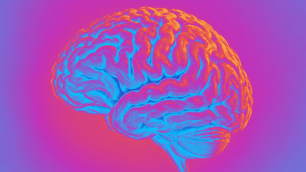 UK startup Cerebella launches self-guided programme for menopause-related brain fog