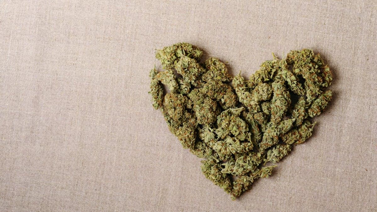 Cannabis legalization linked to increased cardiovascular hospitalizations in western U.S.