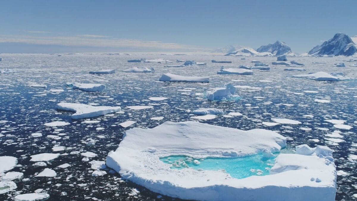 A Massive Hole Opened Up in Antarctica. Scientists May Have Finally Figured Out Why