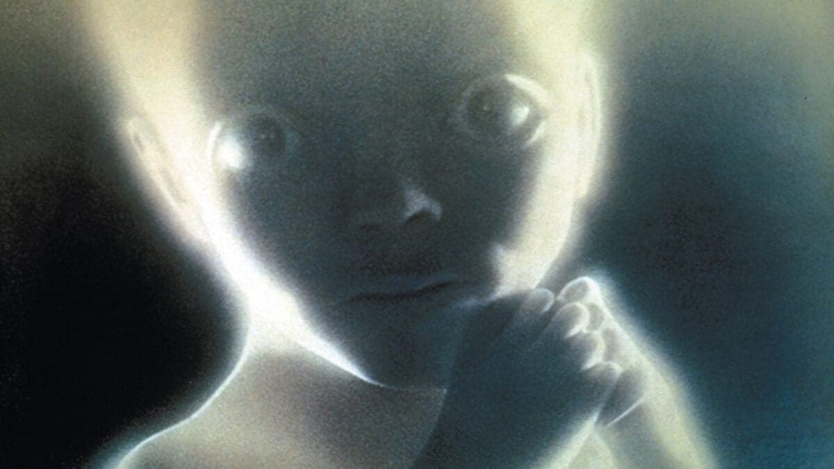 Stanley Kubrick's estate auctions iconic film props and memorabilia