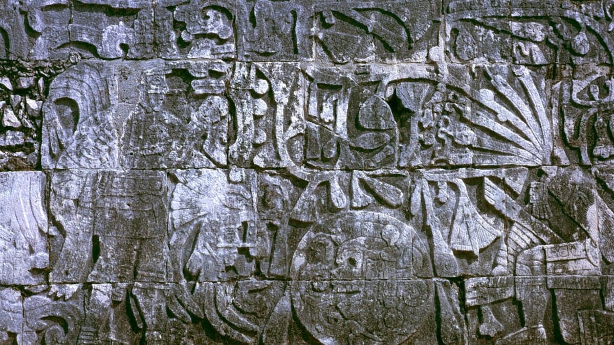 Maya Elite Burial Site Yields 226 Ancestral Teeth in Genetic Study