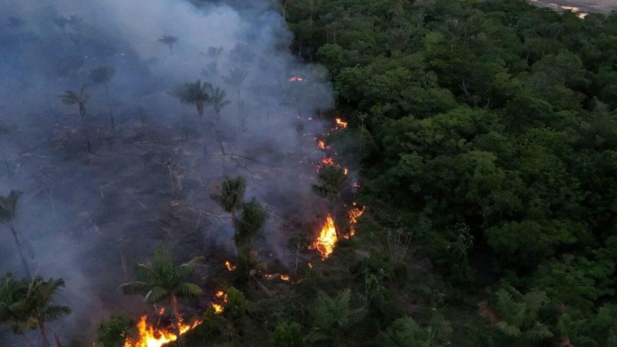 The Super El Niño Hasn’t Even Peaked, and It’s Already Burning Up the Amazon