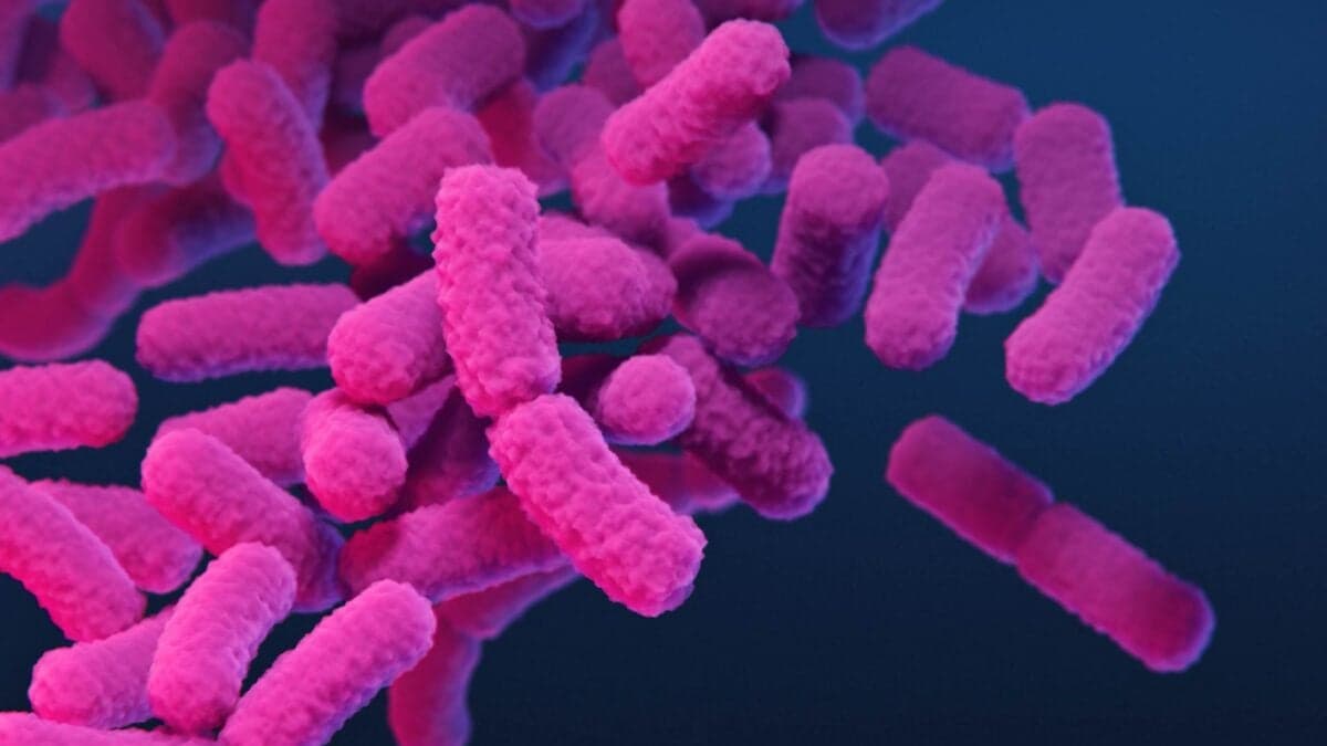 CDC report: Drug-resistant infections now kill over 50,000 annually in the U.S.