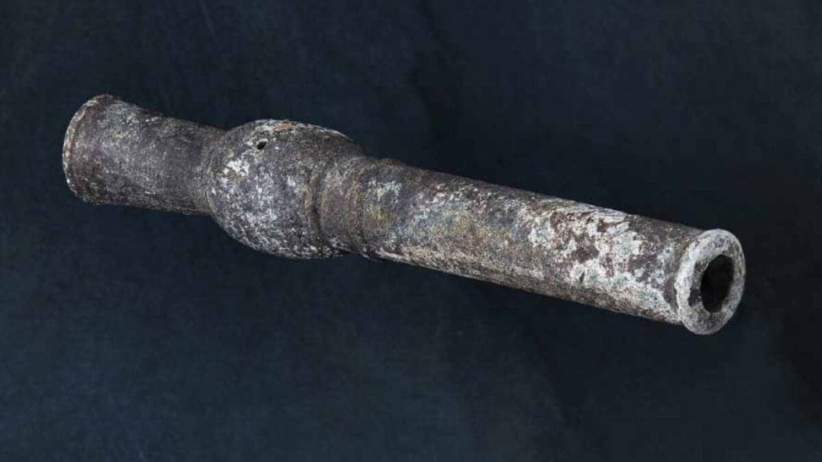 South Korean Troops Thought They Found a Landmine. It Was a 600-Year-Old Gun