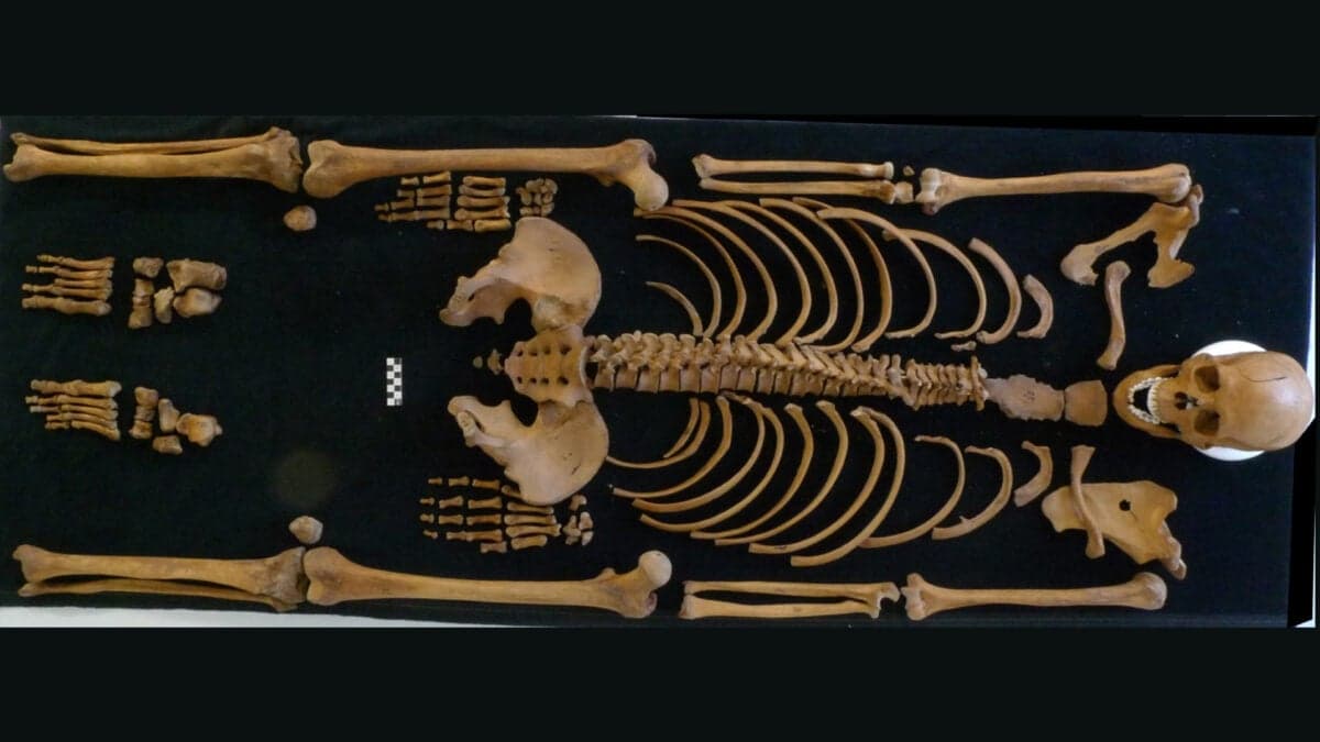 Roman soldier’s death in Netherlands linked to personal violence, not revolt