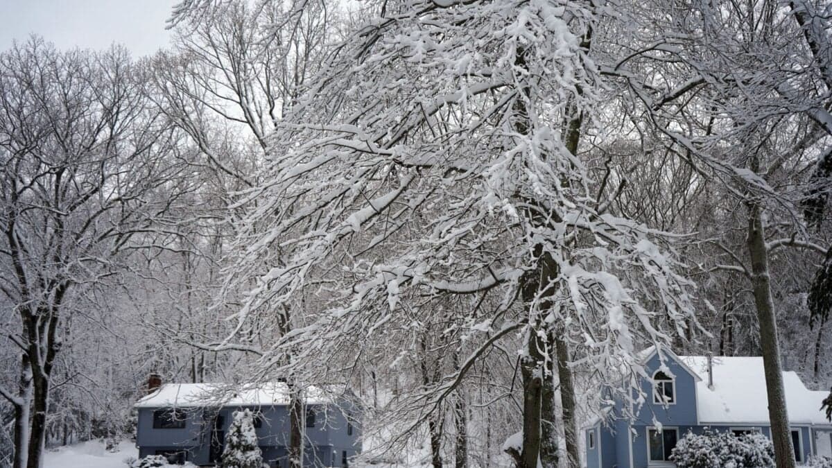 New Maps Show How Drastically This Year’s ‘Super’ El Niño Could Influence Winter Weather in the US