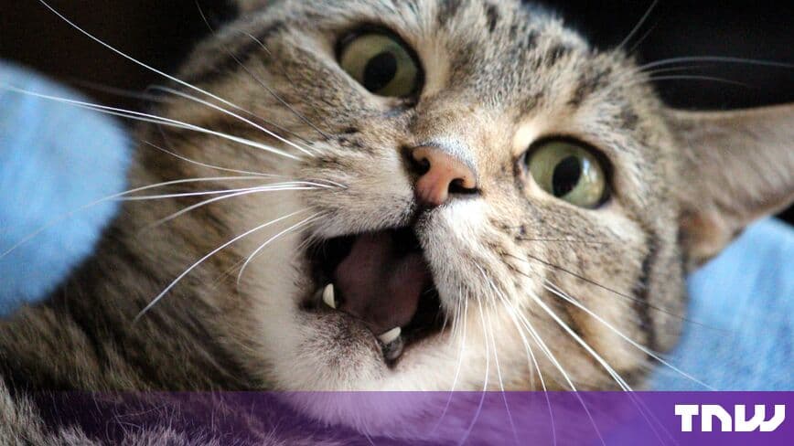 Biotech now sells pet cloning and cryonics, MIT Technology Review finds