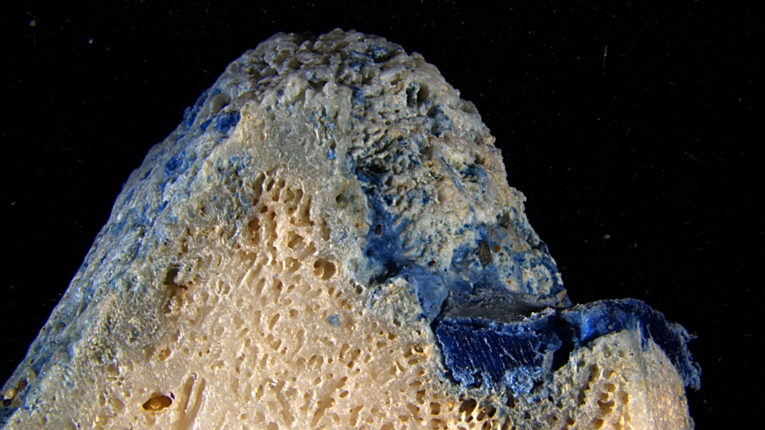 Plastic Is Melting Onto Corals