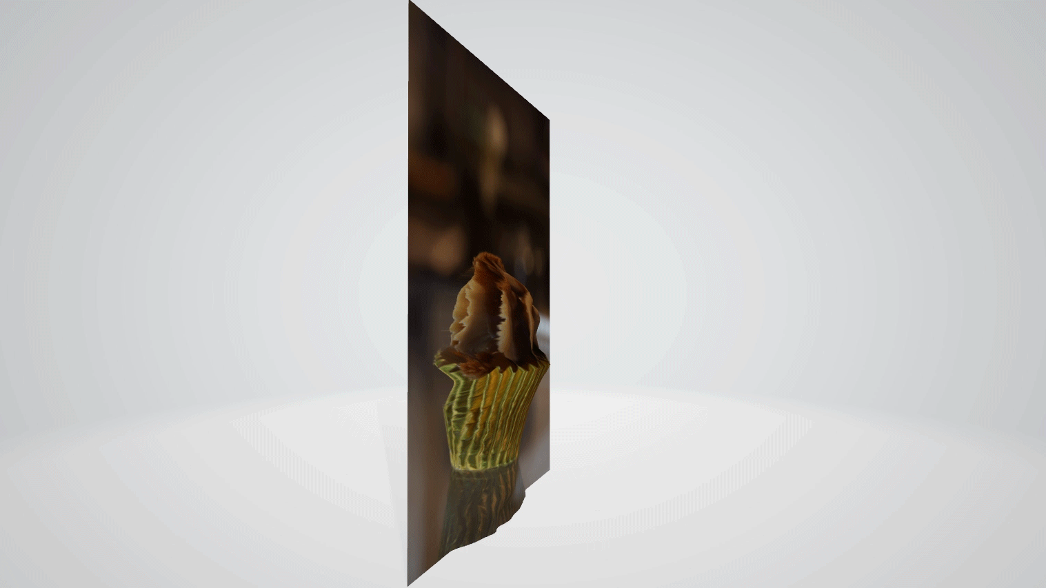 Canon releases free DP3D software for 3D photos and videos