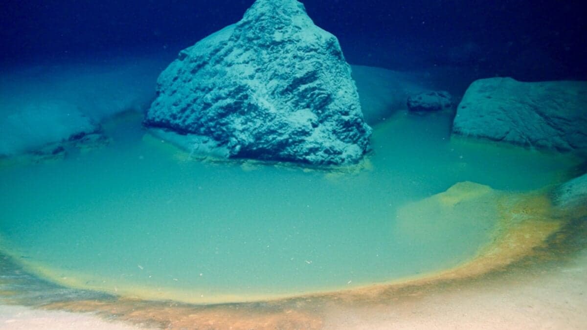 Scientists Found a Deep-Sea ‘Death Pool’ That Vanished. It May Show How Earth’s First Life Survived