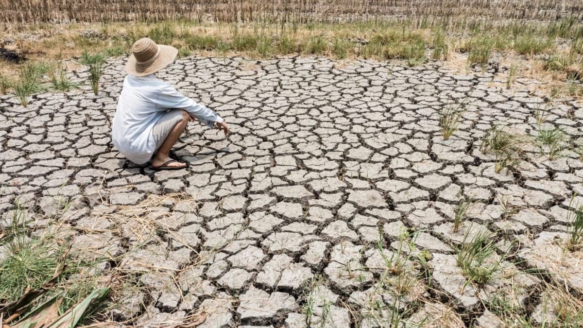 New Map Reveals Where This ‘Super’ El Niño Will Hit Hardest, and It’s Not Pretty