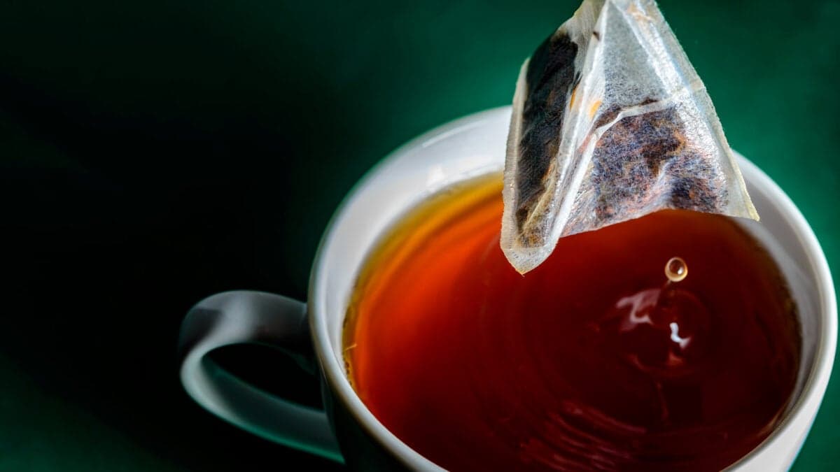 Study: Plastic tea bags release thousands of microplastics and BPA per cup