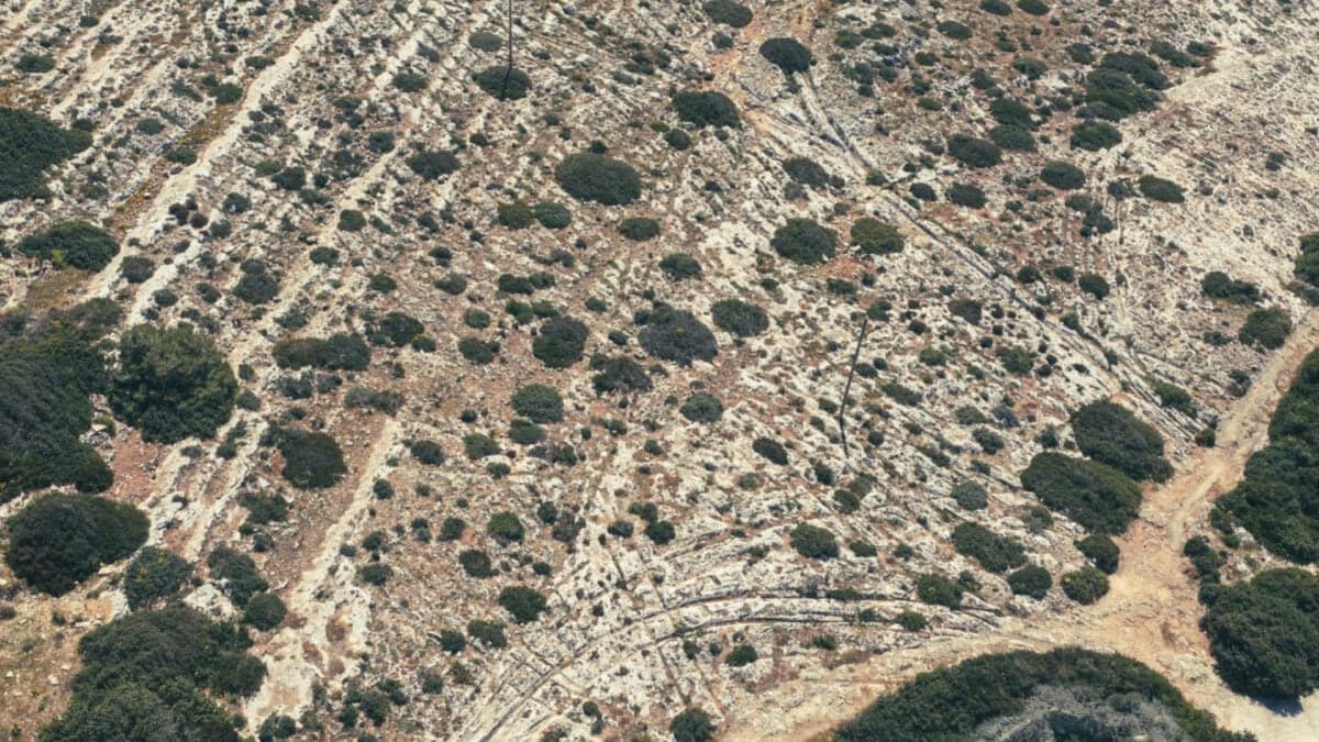 Malta’s mysterious cart ruts may not be prehistoric, study finds