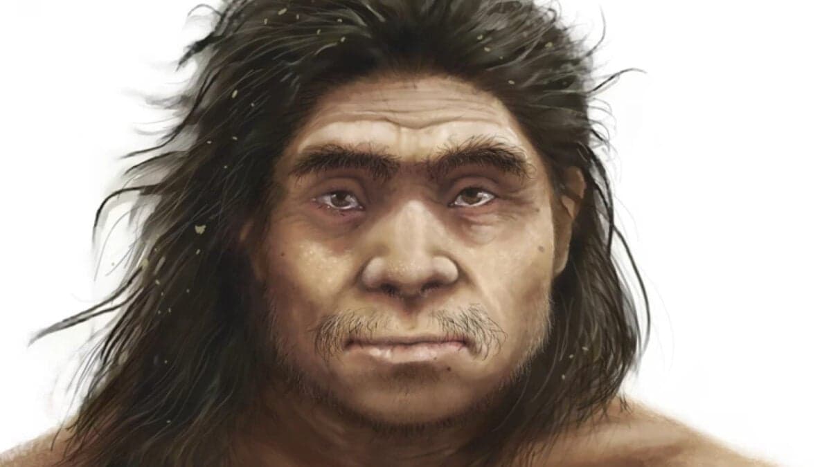 Researchers reconstruct Denisovan facial features using Xujiayao fossils