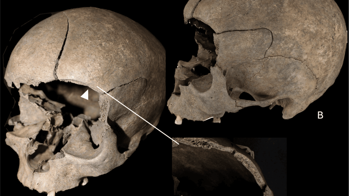 Iron and Viking Age Scandinavians Kept Their Victims’ Bones Around the House
