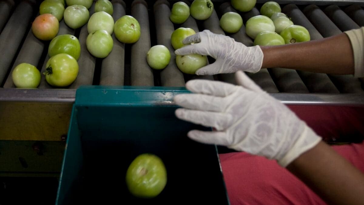 FDA foreign food inspections drop to 5% of Congressional quota in 2025