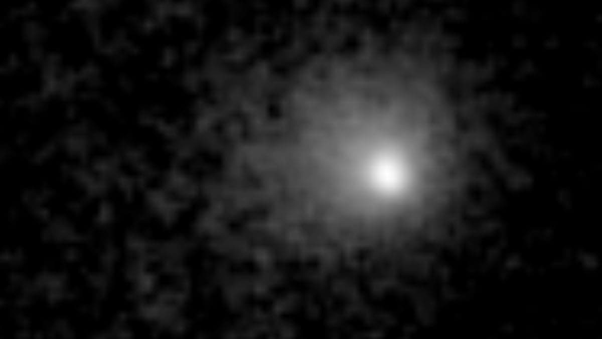 The Euclid Space Telescope discovers its first comet