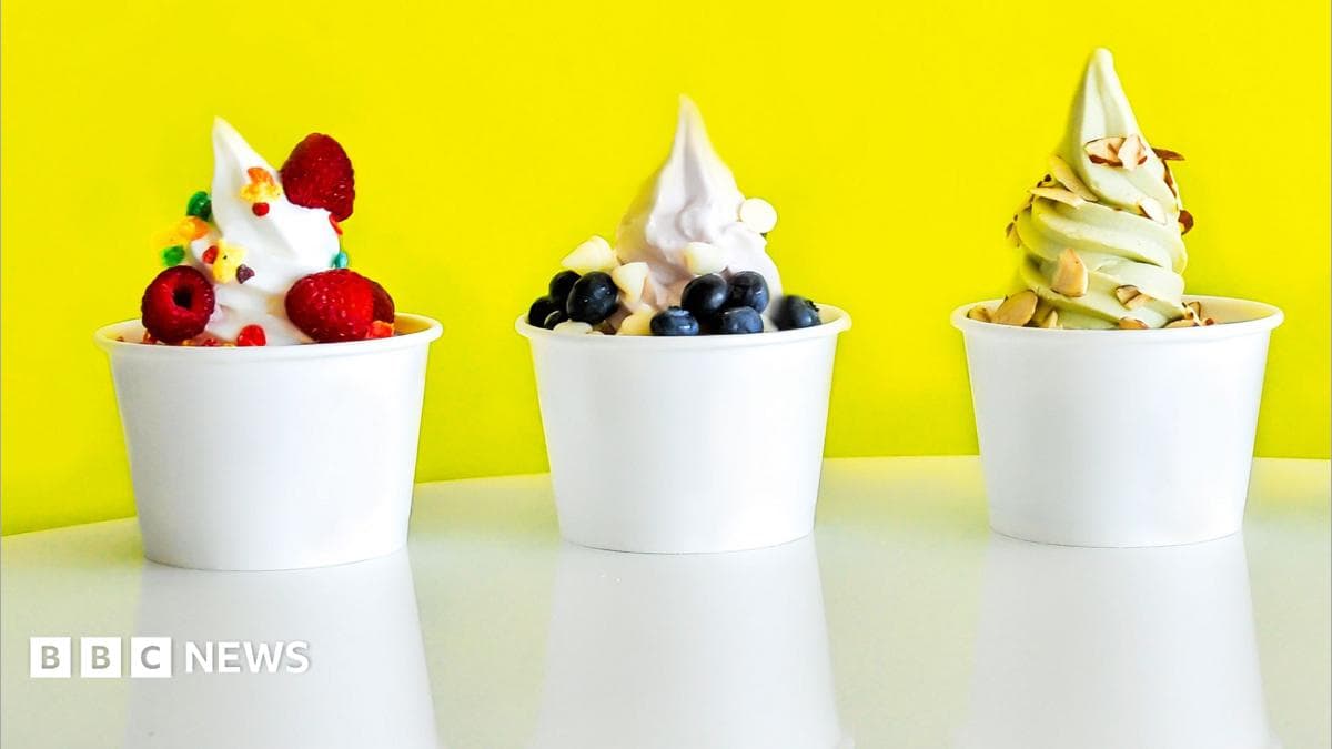 Frozen yoghurt makes a comeback in the UK: Nostalgia meets premium pricing