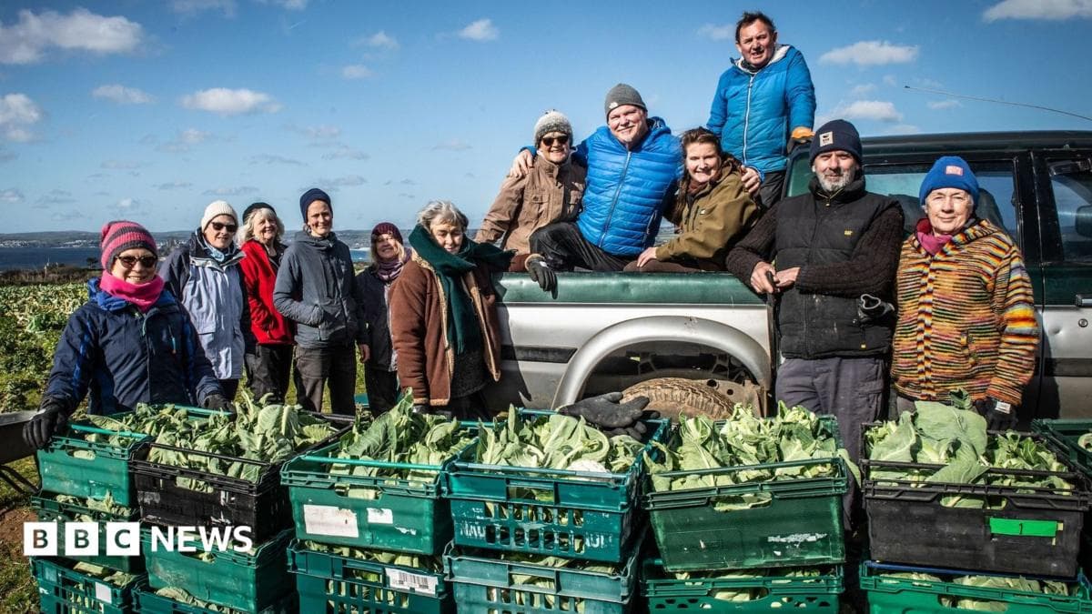 Cornwall’s gleaning group saves £1m in produce but warns of crisis ahead