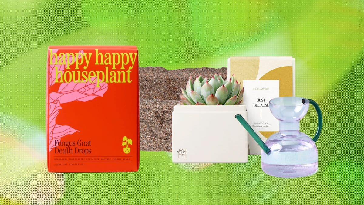 WIRED’s 2026 Gift Guide: 19 Gifts for Plant Lovers and Gardeners