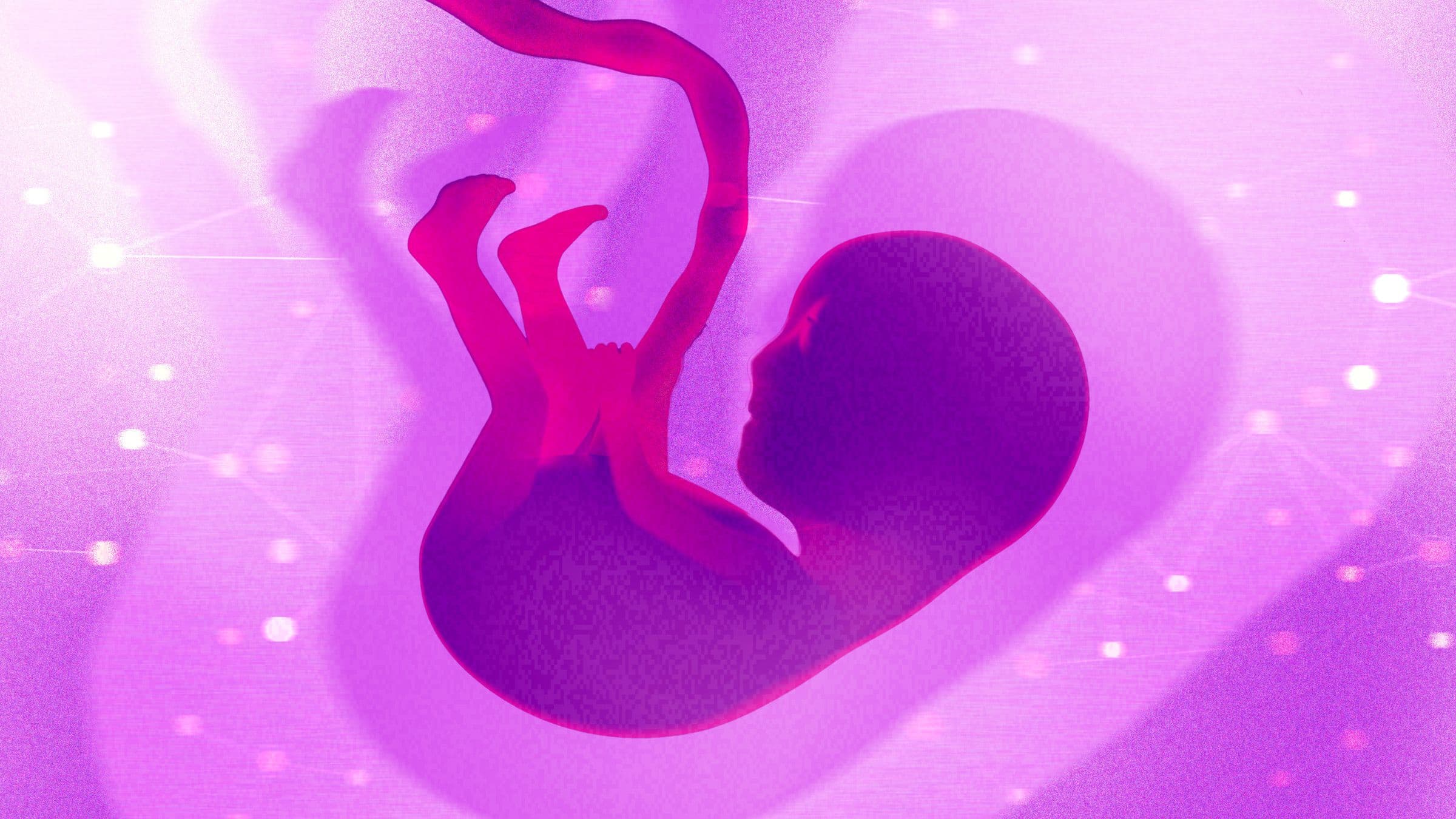 A Biotech Founder Makes the Moral Case for Gene-Editing Human Embryos
