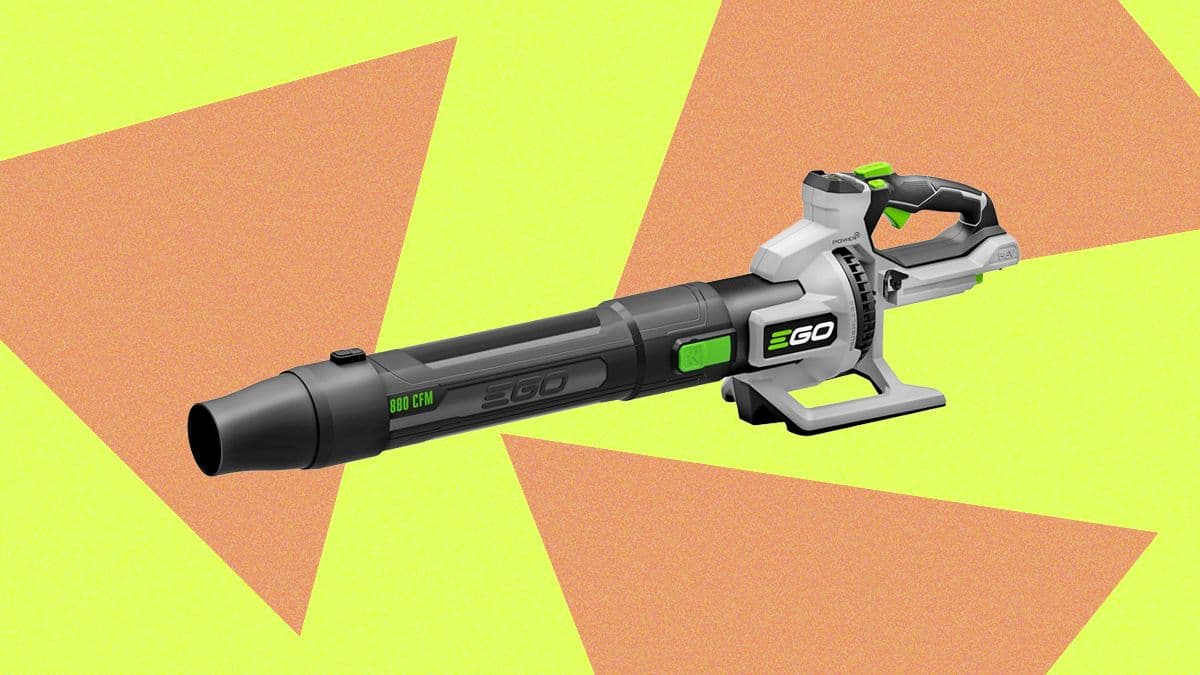 Best battery-powered leaf blowers of 2026: Ego leads, Skil offers affordability