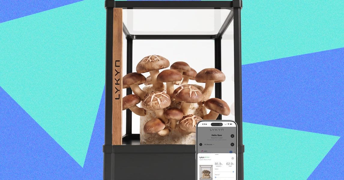 Lykyn launches $300 automated mushroom grow box with global shipping from Turkey