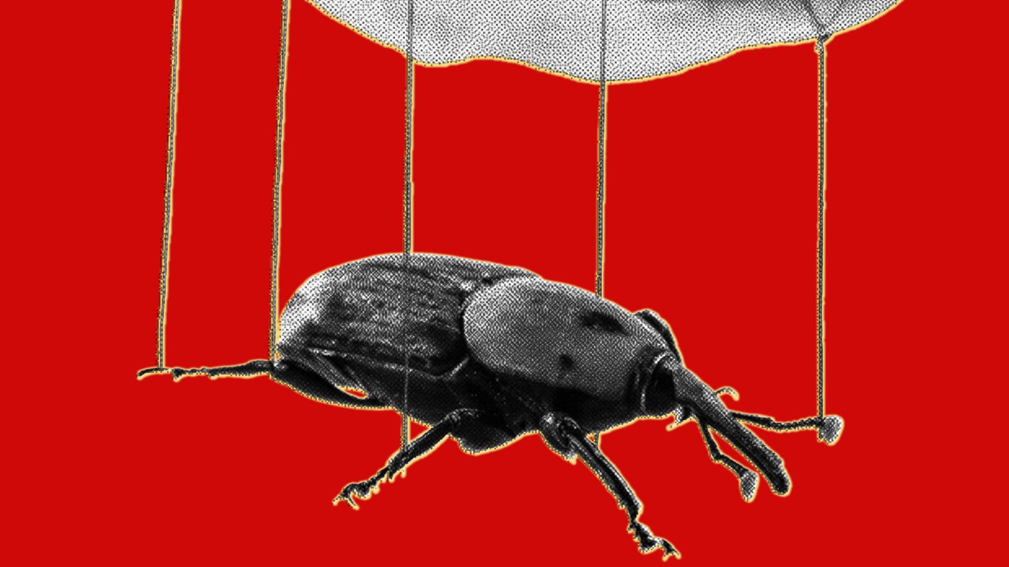 AI tools accelerate exploitation of PHP vulnerabilities within hours of disclosure