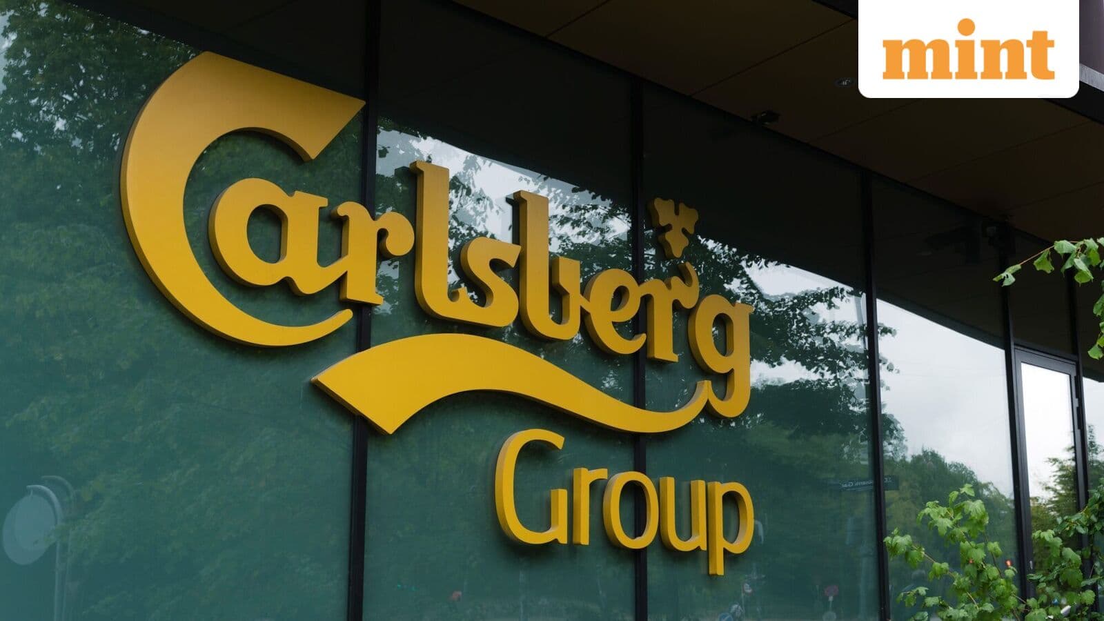 Carlsberg plans $700 million IPO for India business, targets December launch